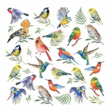 20x papieren servetjes vogels print 33 x 33 cm
