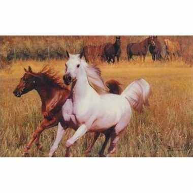 3d dieren placemats paarden type 3