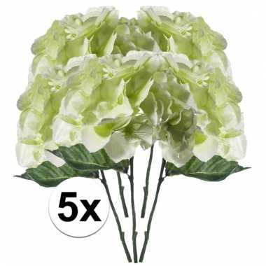 5x wit/groen hortensia 28 cm kuntplant takken