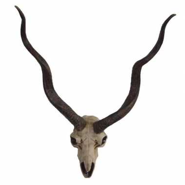 Decoratie antilope schedel met hoorns 39 cm