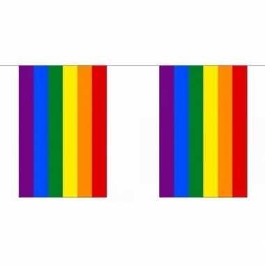 Gay parade regenboog slingers 18 m