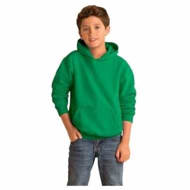 Groene trui met capuchon voor jongens