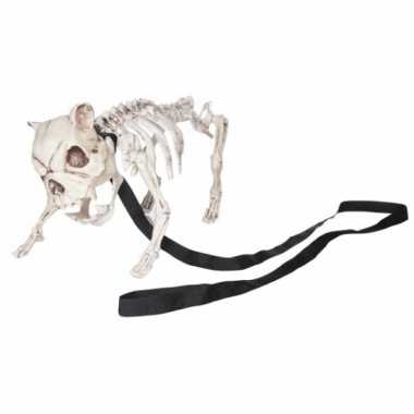Halloween honden skelet