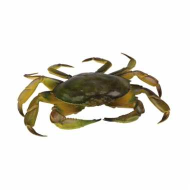 Levensechte speelgoed plastic krab 35 cm