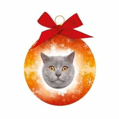 Plastic kerstbal grijze britse korthaar katten oranje