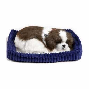 Slapende realistische knuffel shih tzu