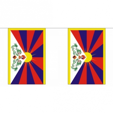 Tibet vlaggenlijn 9 m