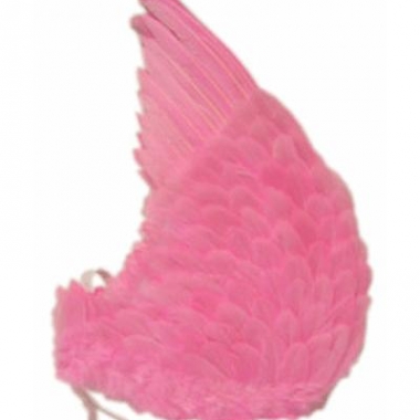 Vleugels met roze veren 60x75 cm