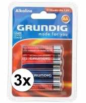 12x aa penlites batterijen