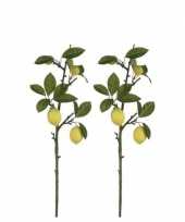 2x citrus limonia citroenboom kunsttakken groen geel 65 cm