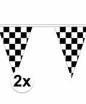 2x finish versiering vlaggenlijnen van 5 m