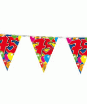 2x leeftijd vlaggenlijnen 75 jaar 10 meter