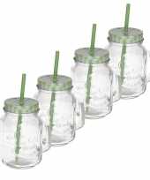 4x smoothies drinkbeker groen met rietje 500 ml