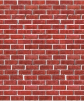 Baksteen scenesetter