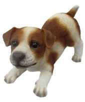 Decoratie beeld jack russel puppy honden 14 cm bruin wit