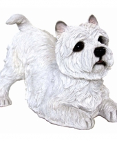 Decoratie beeldje witte west highland terrier 36 cm