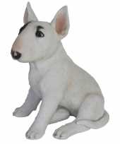 Decoratie dieren honden beeldjes bull terrier 34 cm