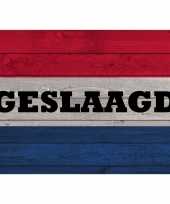 Geslaagd poster van de nederlandse vlag op hout 84 cm