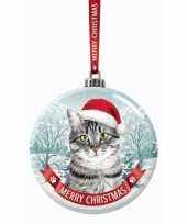 Glazen kerstbal britse korthaar katje poesje