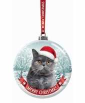 Glazen kerstbal grijs katje poesje