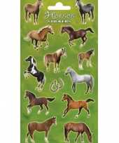 Grote paarden stickers
