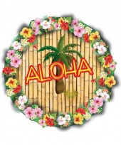 Hawaii vlag print bierviltjes