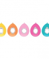 Kleurballonnen setje jill 5 stuks