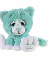 Mintgroene knuffel kat poes give me a smile 14 cm