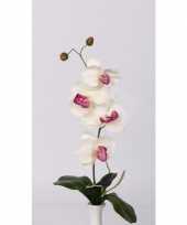 Orchidee tak 44 cm