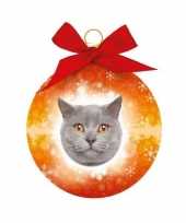 Plastic kerstbal grijze britse korthaar katten oranje