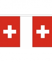 Polyster vlaggenlijn zwitserland 3 m