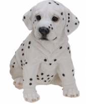 Stenen dalmatier puppy zittend 23 cm
