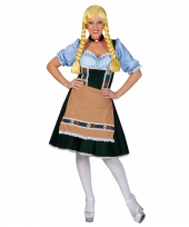 Verkleedkleding heidi jurkje groen blauw