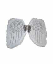Vleugels voor een engel 36 cm