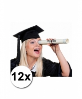 Zwarte diploma hoedjes 12x
