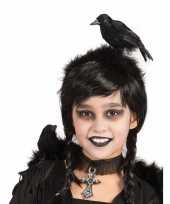 Zwarte kraai op je hoofd diadeem